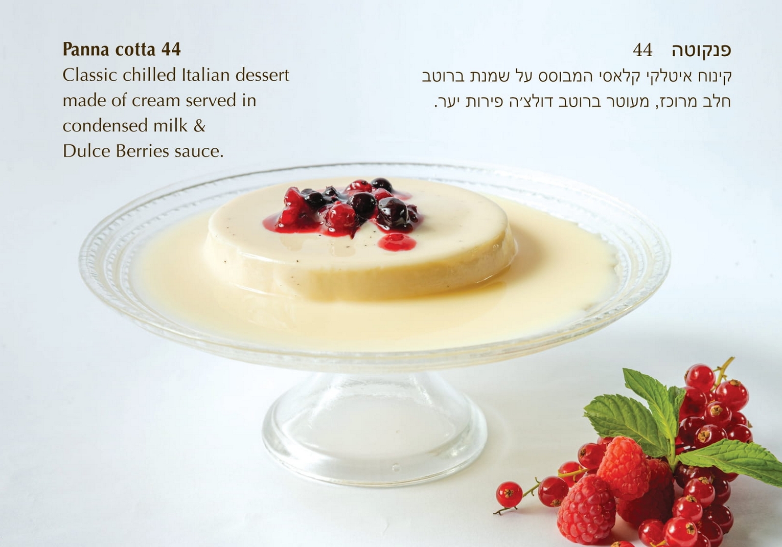 פנקוטה